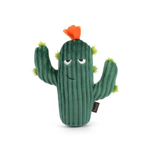 PLAY Cactus